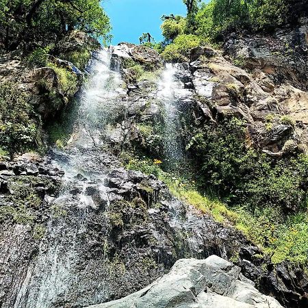Cabana Para Pareja En El Bosque Ib Acaxochitlan Экстерьер фото