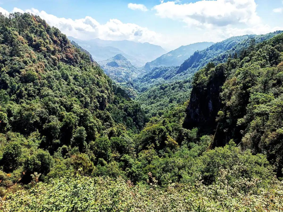 Cabana Para Pareja En El Bosque Ib Acaxochitlan Экстерьер фото
