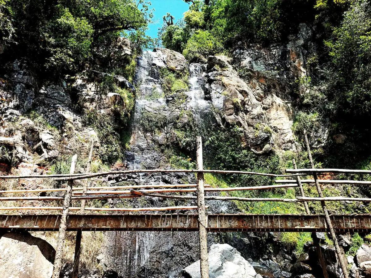 Cabana Para Pareja En El Bosque Ib Acaxochitlan Экстерьер фото