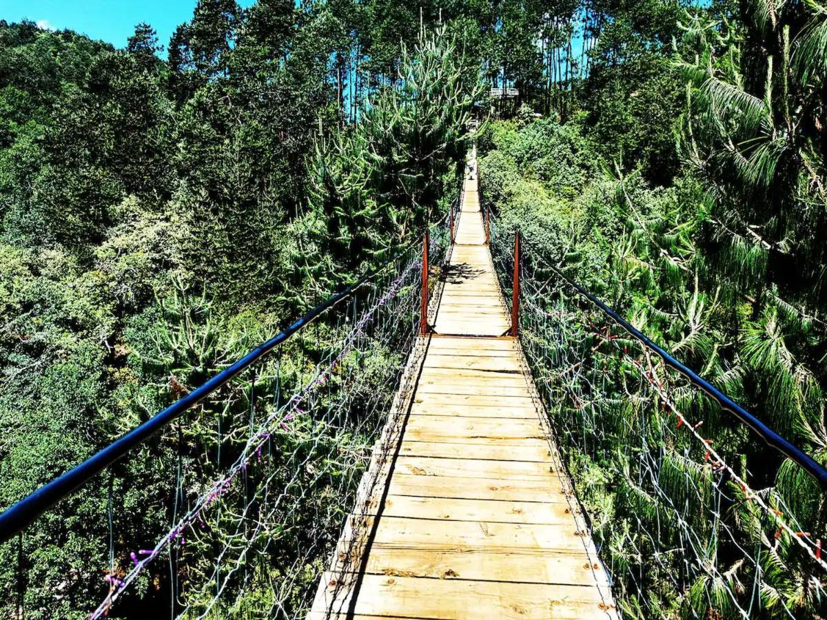 Cabana Para Pareja En El Bosque Ib Acaxochitlan Экстерьер фото