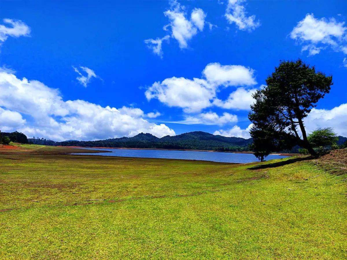 Cabana Para Pareja En El Bosque Ib Acaxochitlan Экстерьер фото